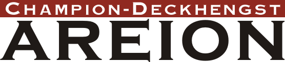 Areion - Deckhengst in Evershorst